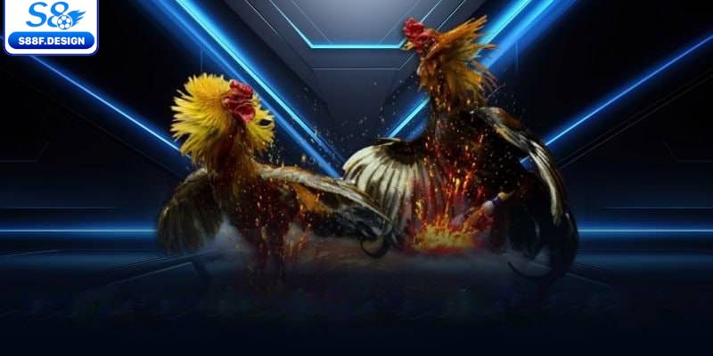 Điểm cộng sảnh chọi gà