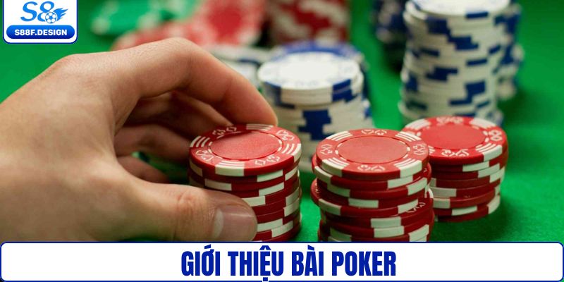 Giới thiệu bài poker cho người mới
